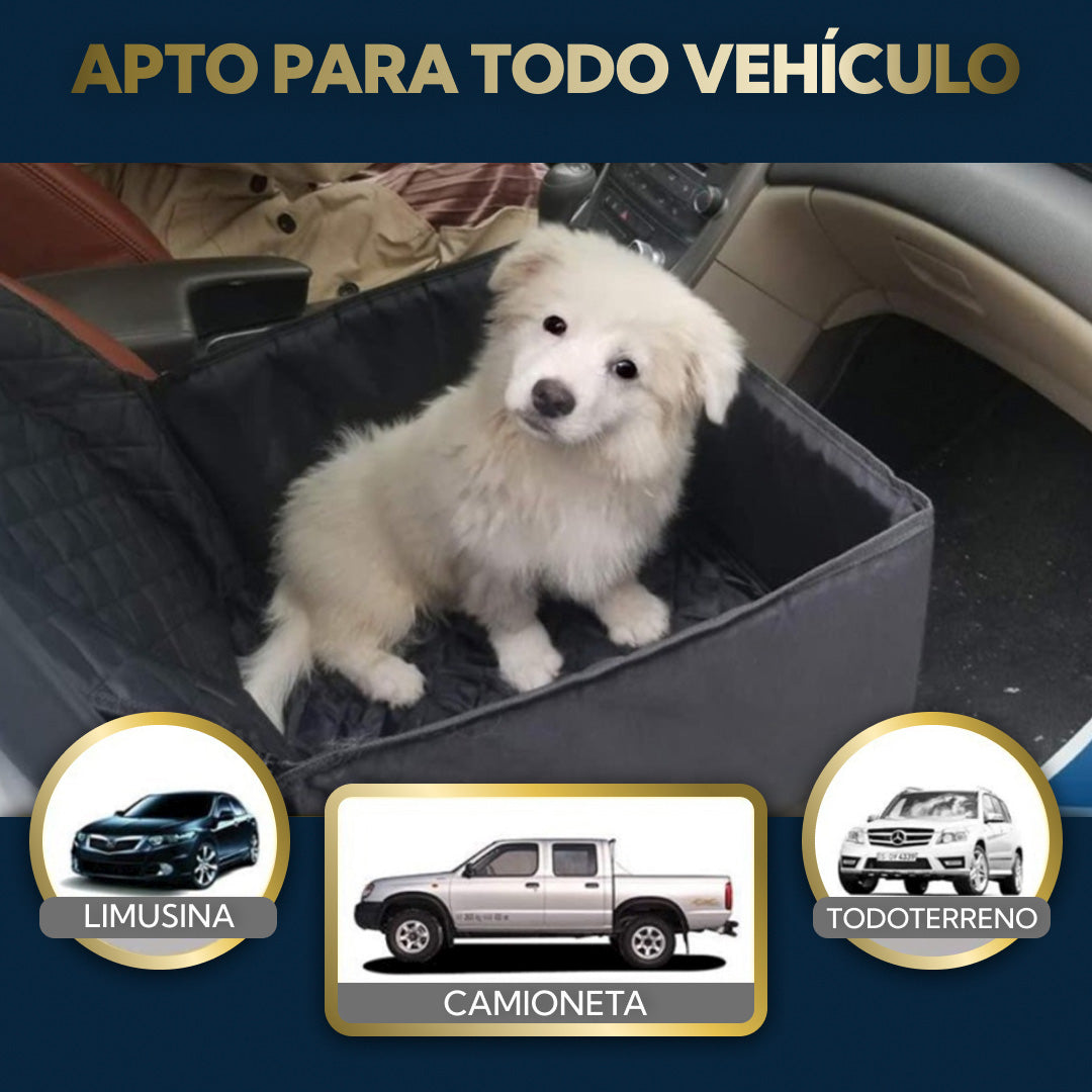 El Asiento de Auto que tu Mascota Amará